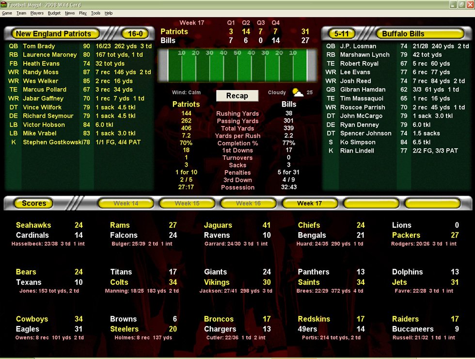Football Mogul 2009 — скриншот 1