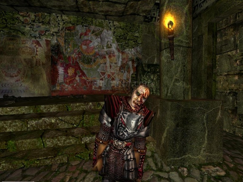 Gothic 2: Night of the Raven — скриншот 6