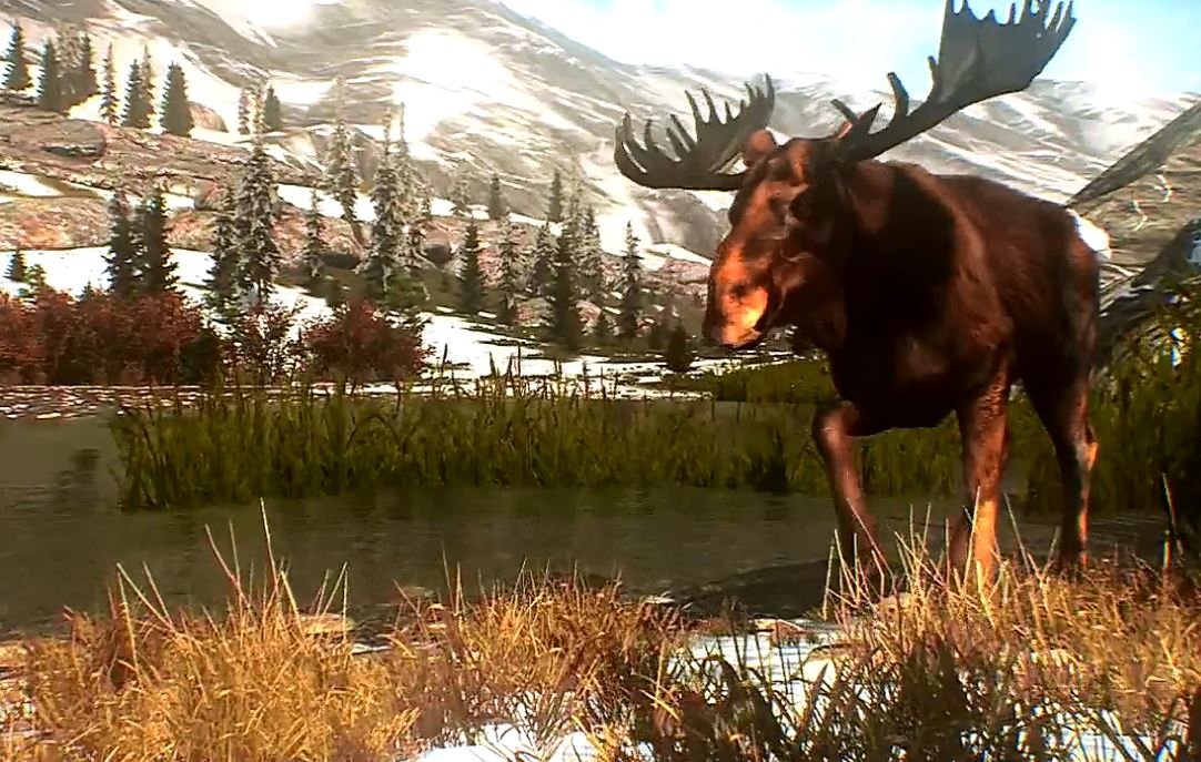 Cabela's Big Game Hunter: Pro Hunts — скриншот 8