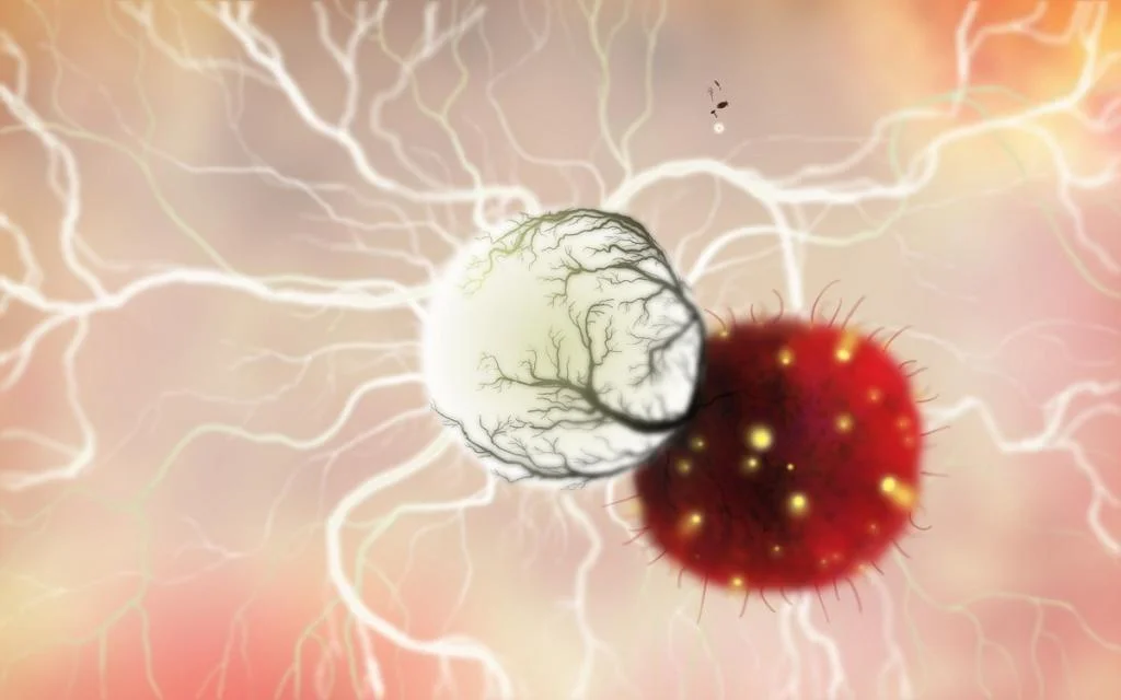 Botanicula - кадр 3