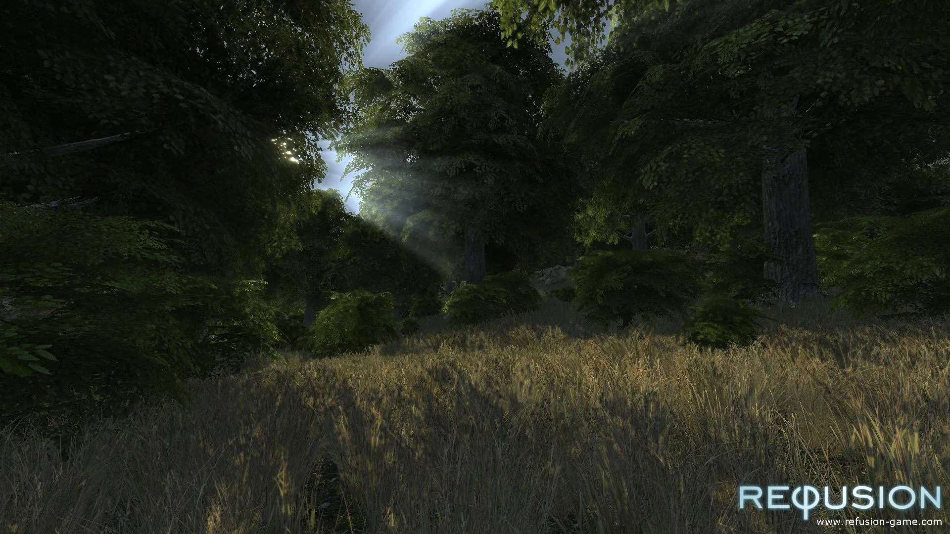 Refusion - кадр 3