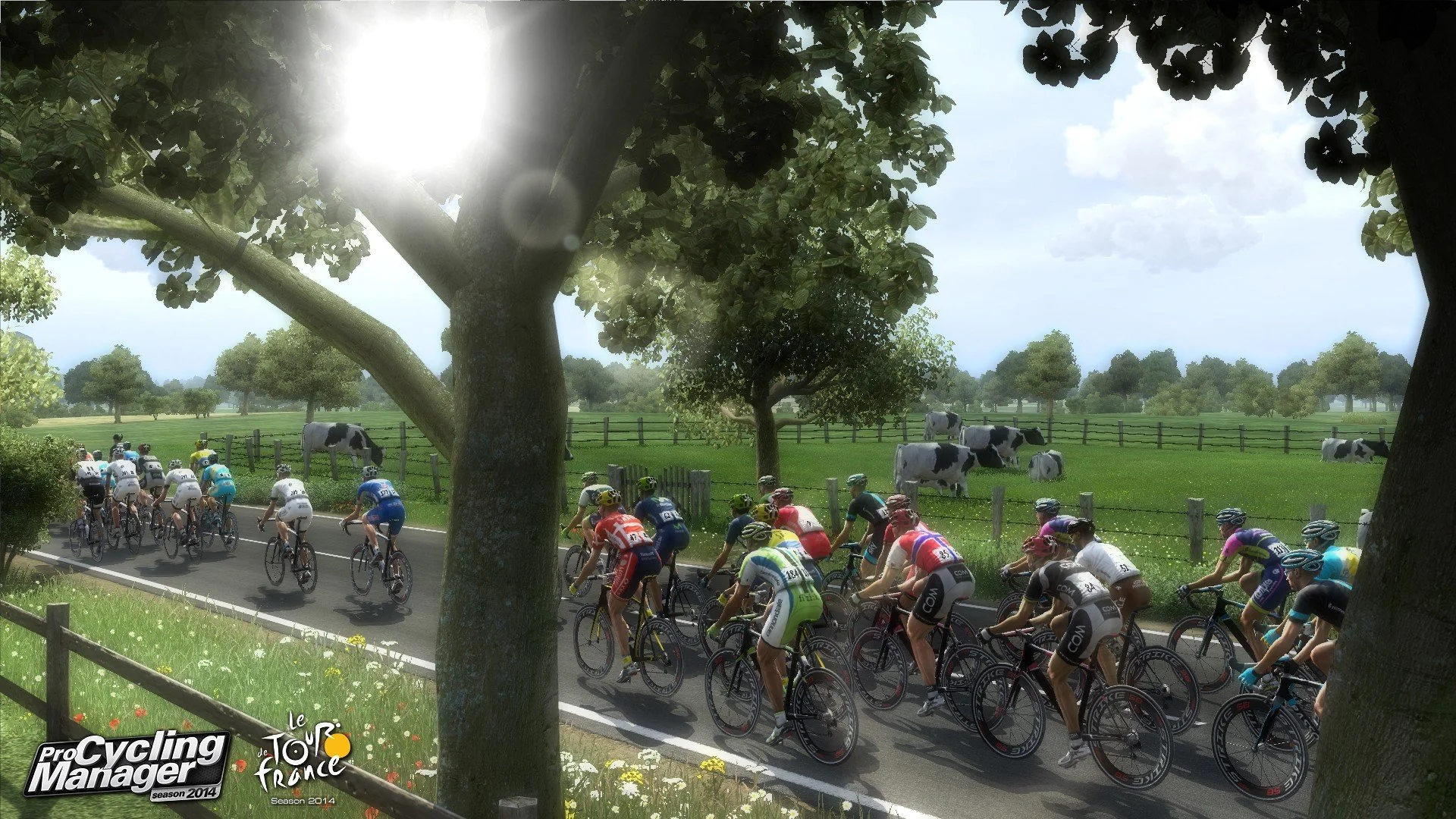 Pro Cycling Manager Season 2014: Le Tour de France - кадр 2