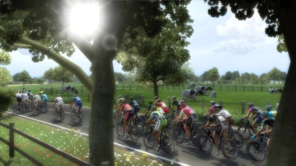 Pro Cycling Manager 2014 — скриншот 6