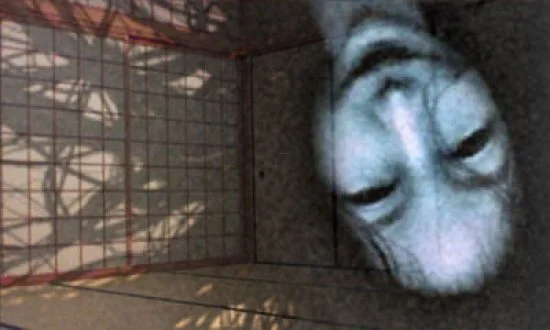 Spirit Camera: The Cursed Memoir - кадр 9