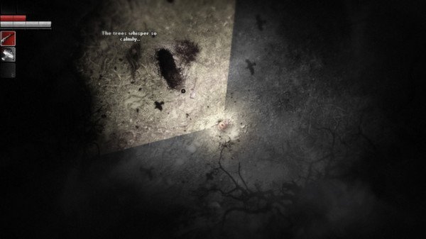Darkwood — скриншот 5