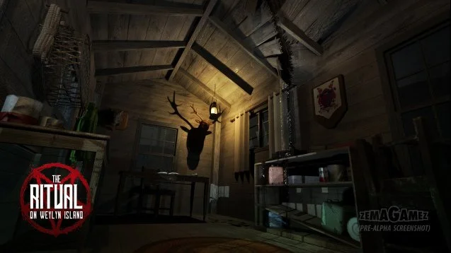 The Ritual on Weylyn Island - кадр 2