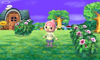 Animal Crossing New Leaf DLC
