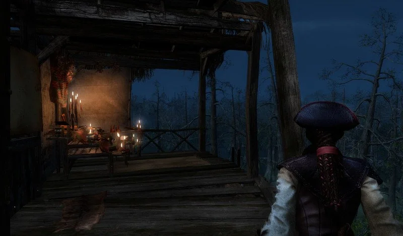 Assassin's Creed: Liberation HD - кадр 3