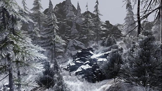 Northern Shadow - кадр 5