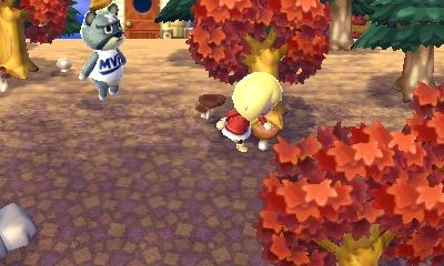 Animal Crossing: New Leaf — скриншот 7