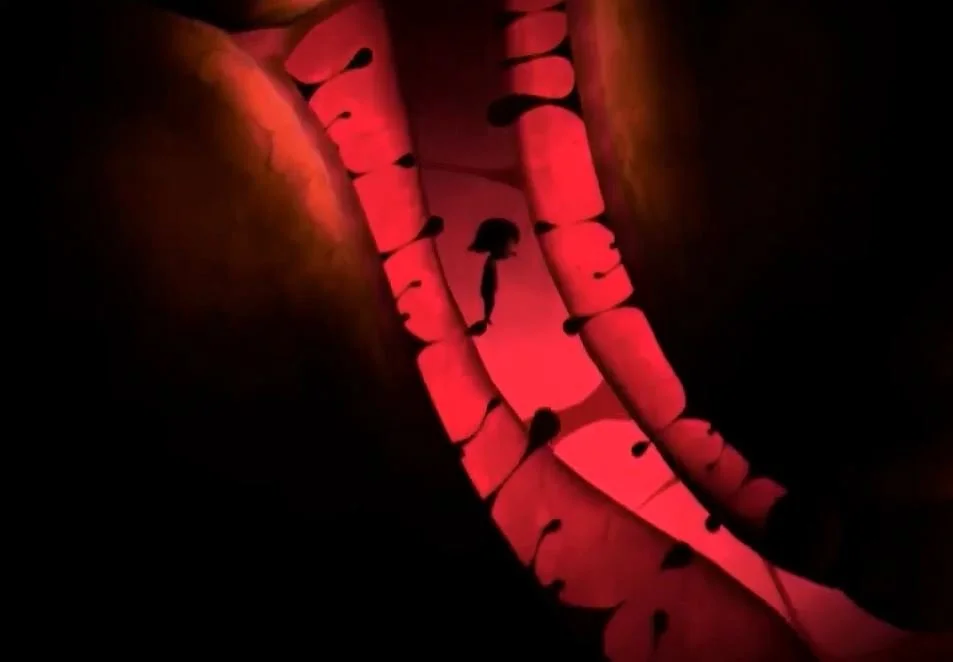 Nightmare: Malaria - кадр 6