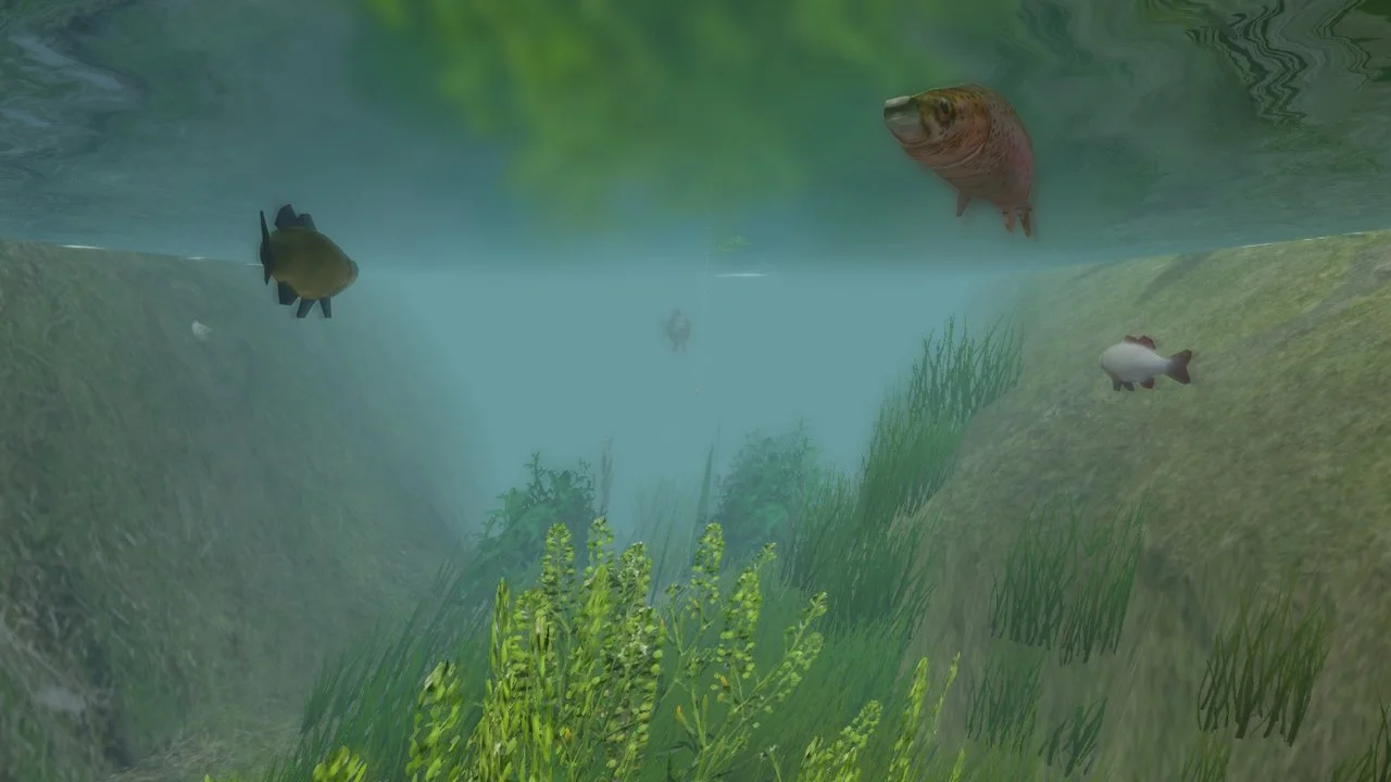 European Fishing - кадр 6