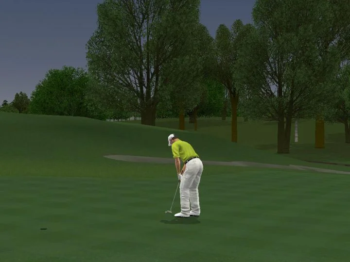 ProStroke Golf: World Tour 2007 - кадр 11