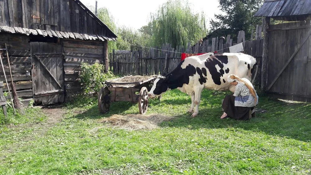 «Ведьма» - кадр 17