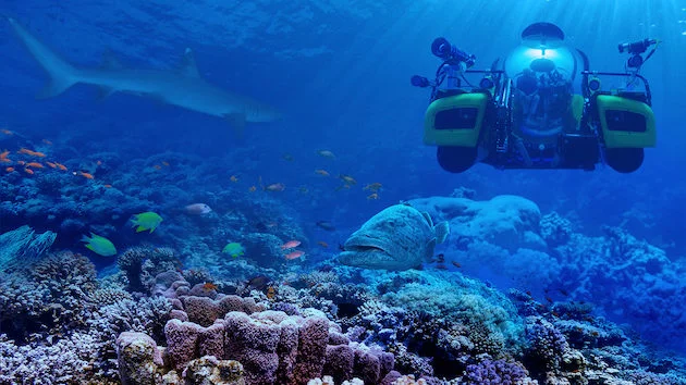 «Большой барьерный риф с Дэвидом Аттенборо» (Great Barrier Reef with David Attenborough) - кадр 2