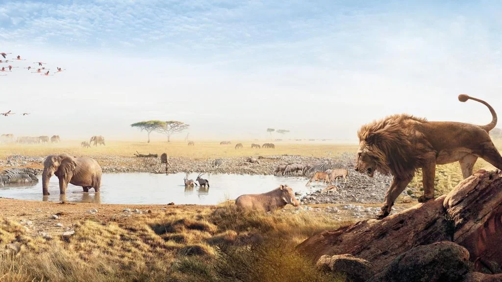 «Серенгети» (Serengeti) - кадр 1