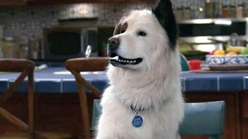 «Собака точка ком» (Dog with a Blog) - кадр 2