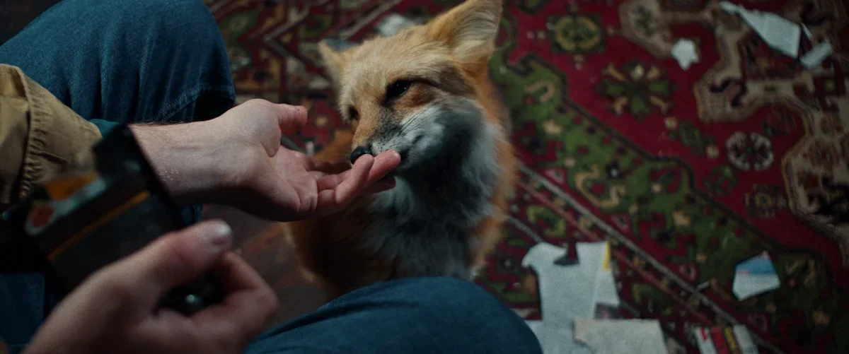 «Как приручить лису» - кадр 3