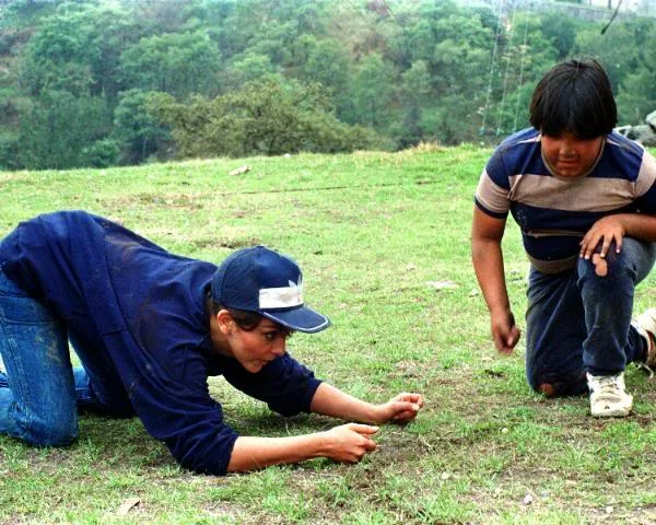 «Дикая Роза» (Rosa salvaje) - кадр 8