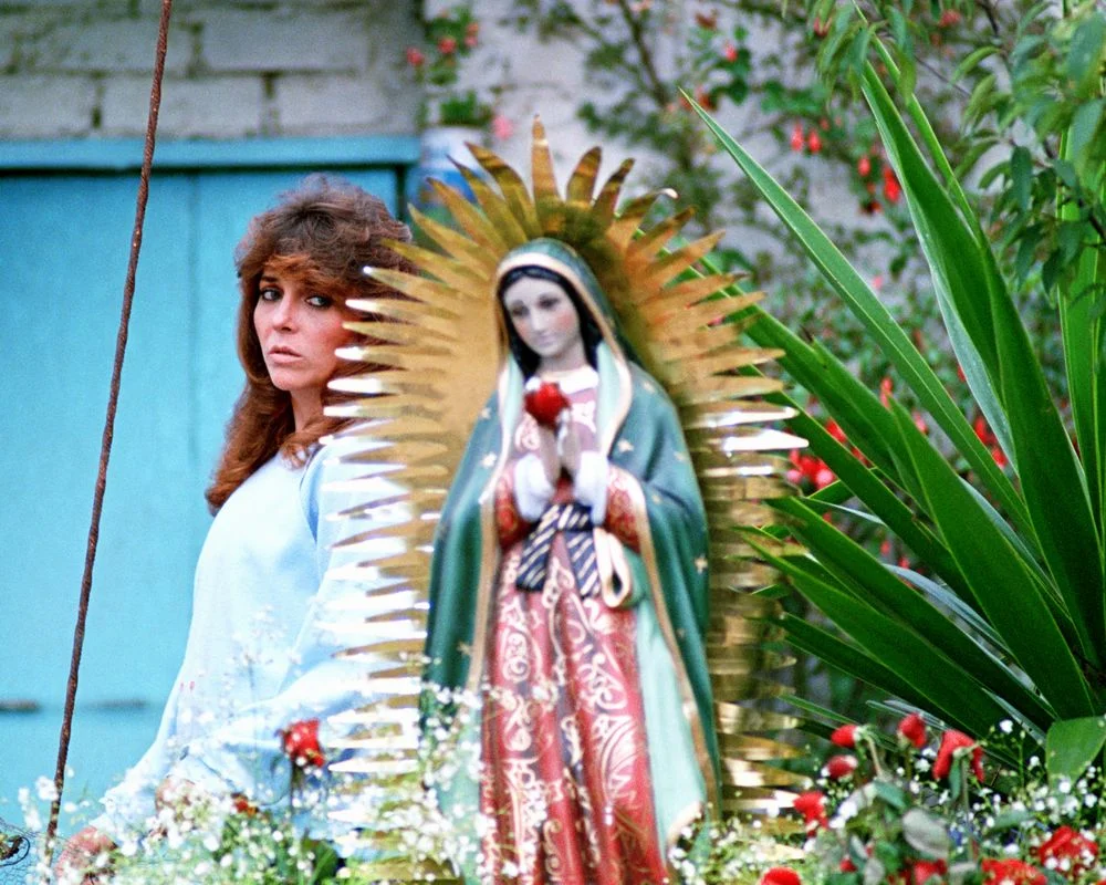 «Дикая Роза» (Rosa salvaje) - кадр 5