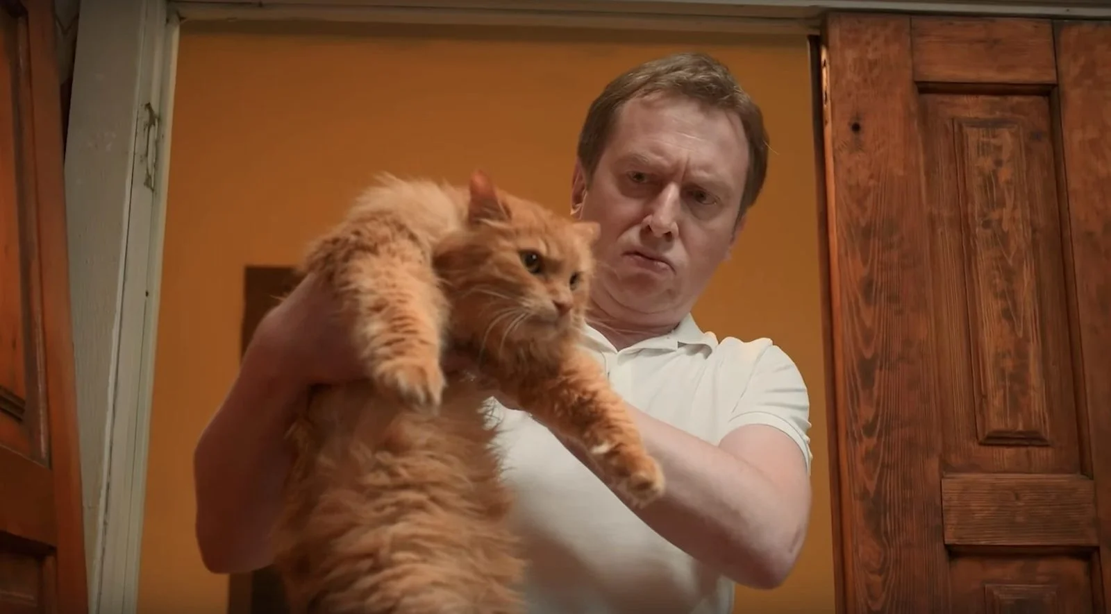 «Котострофа» — скриншот 8