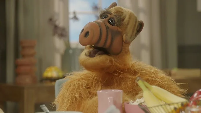 «Альф» (ALF) — скриншот 8