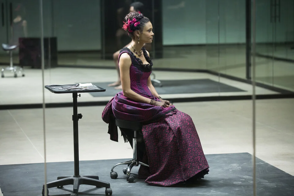 «Мир Дикого Запада» (Westworld) - кадр 7