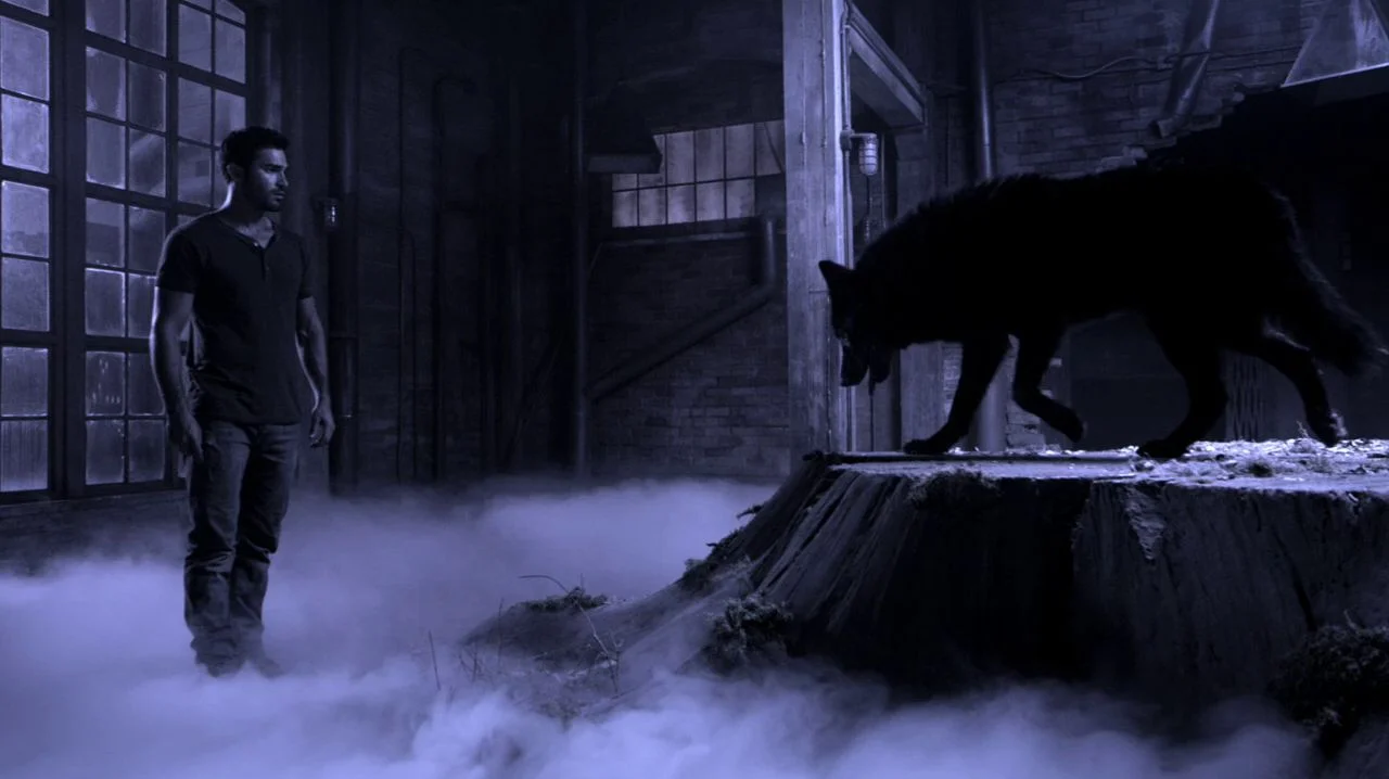 «Волчонок» / «Оборотень» (Teen Wolf) - кадр 11