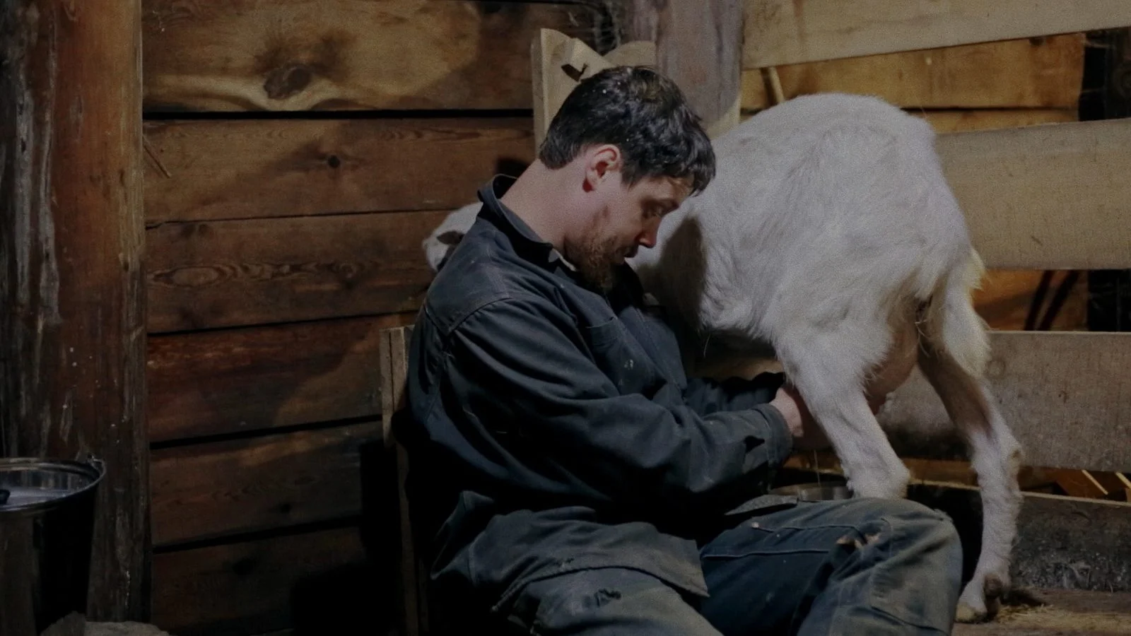 «Земля больших возможностей» (The Land of Great Opportunities) - кадр 9