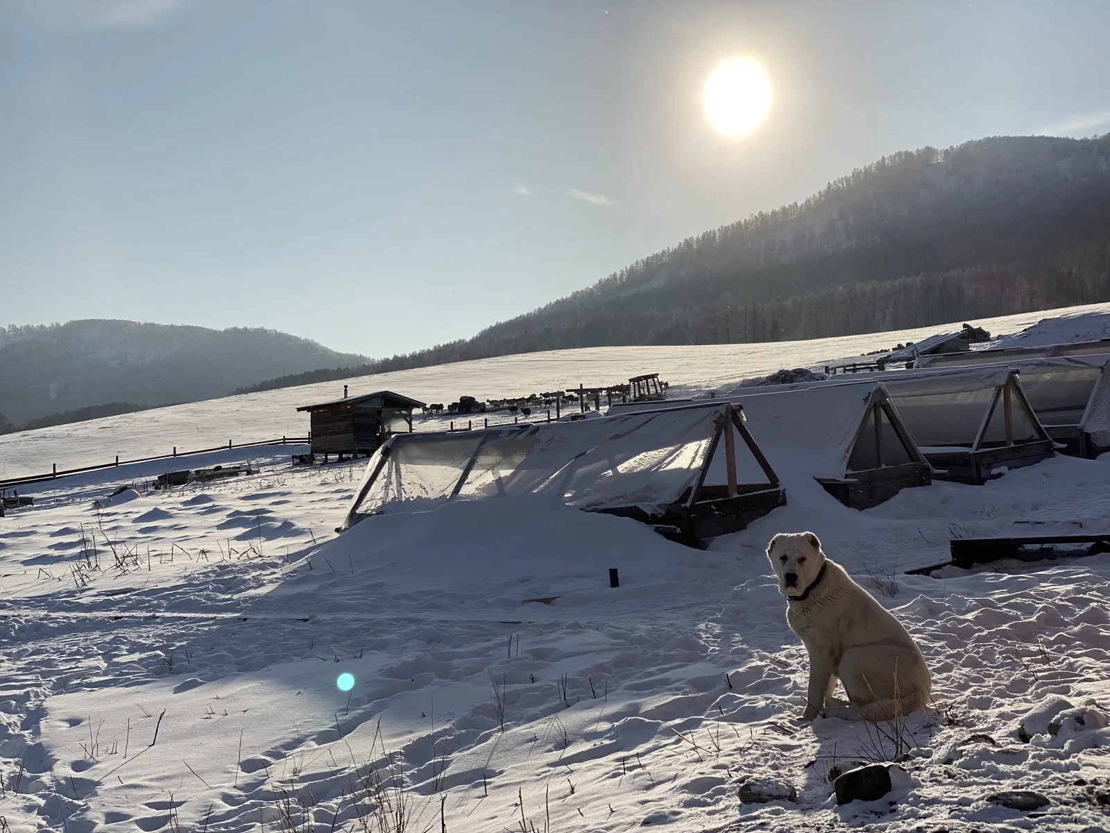 «Земля больших возможностей» (The Land of Great Opportunities) - кадр 1