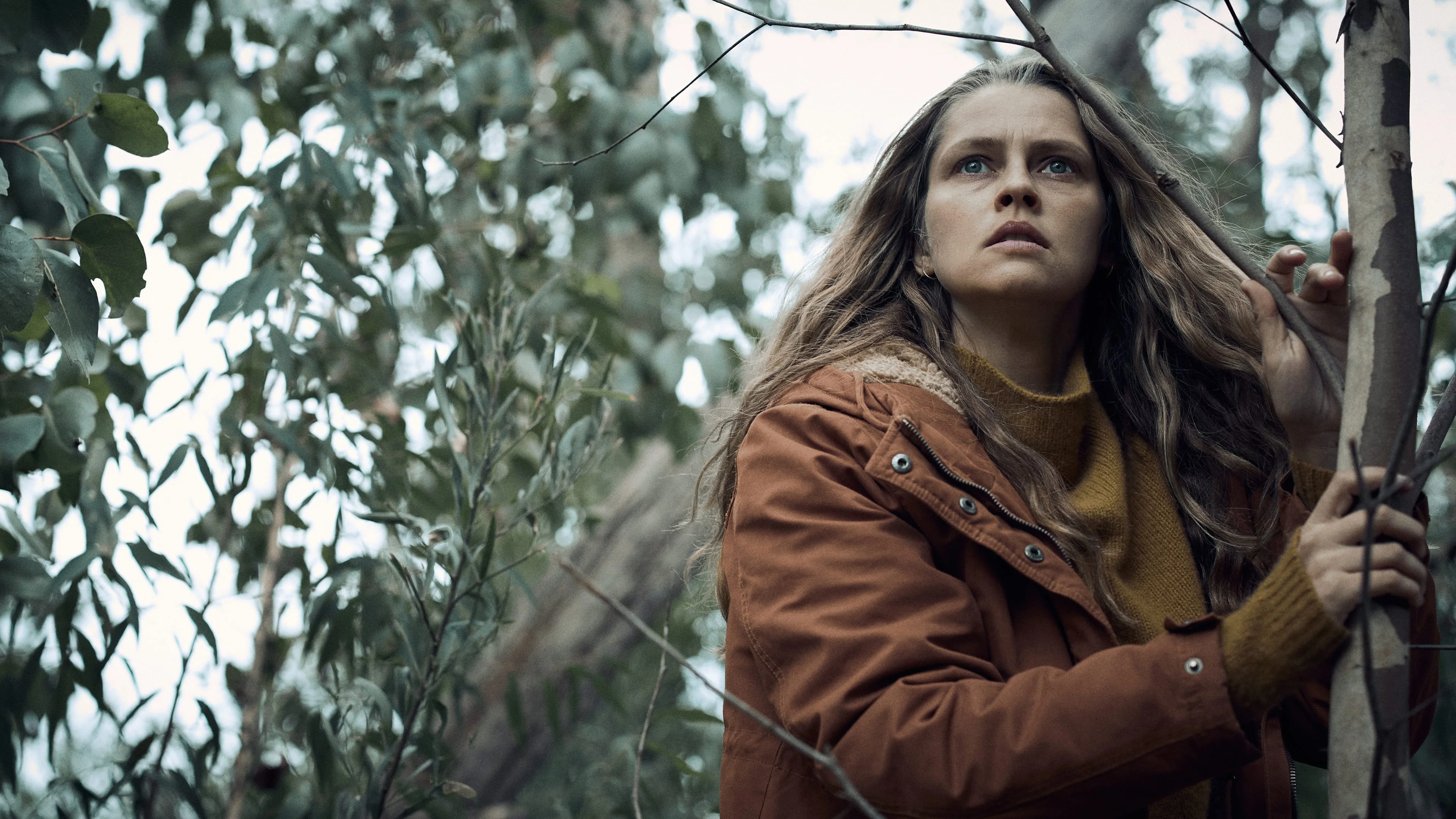 «Очищение» (The Clearing) - кадр 4