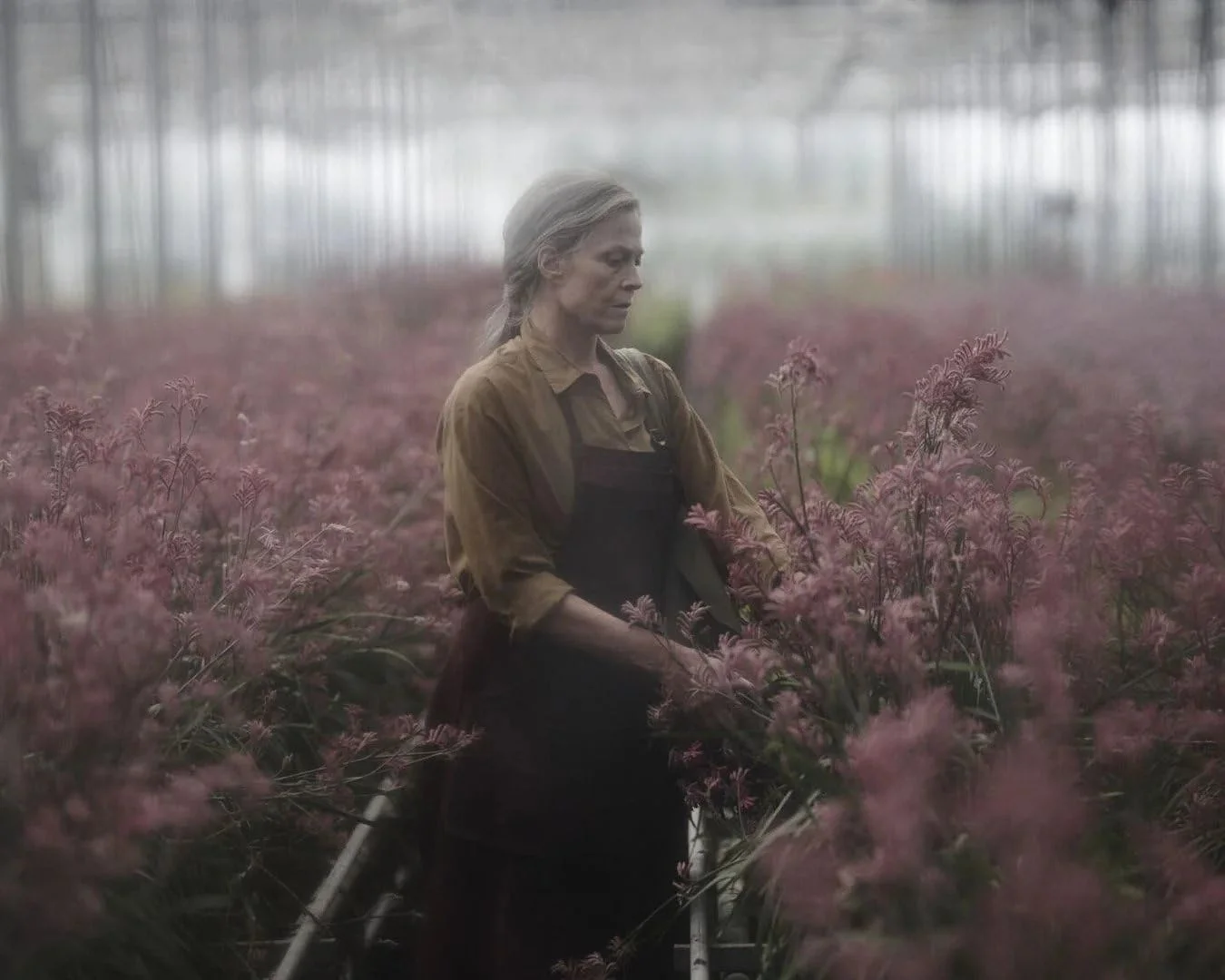 «Потерянные цветы Элис Харт» (The Lost Flowers of Alice Hart) - кадр 4