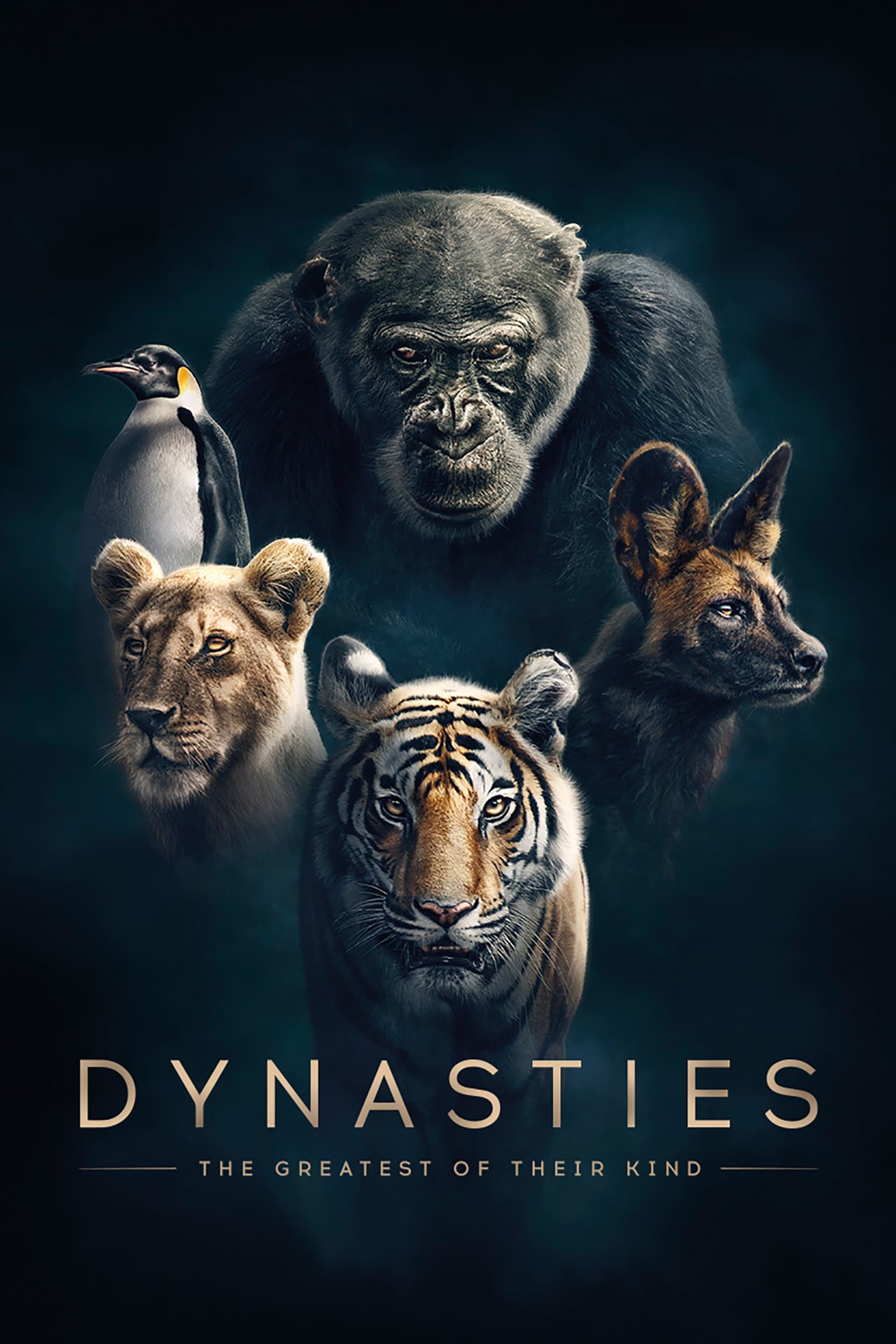 «Династии» (Dynasties)