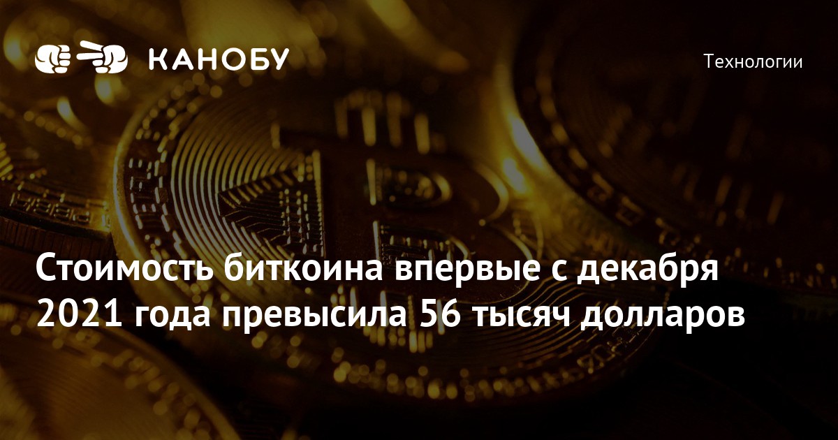 Стоимость биткоина впервые с декабря 2021 года превысила 56 тысяч долларов